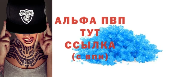 ECSTASY Инта