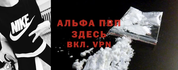 ECSTASY Инта